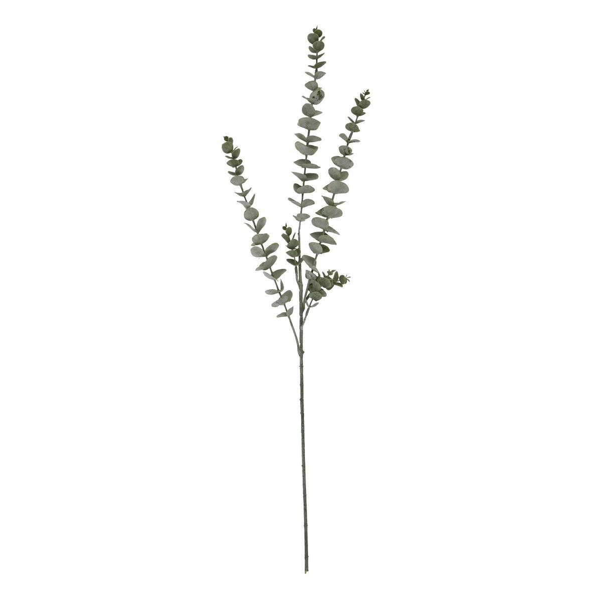 Gunnii Blue Eucalyptus Spray by Hill Interiors - image 4