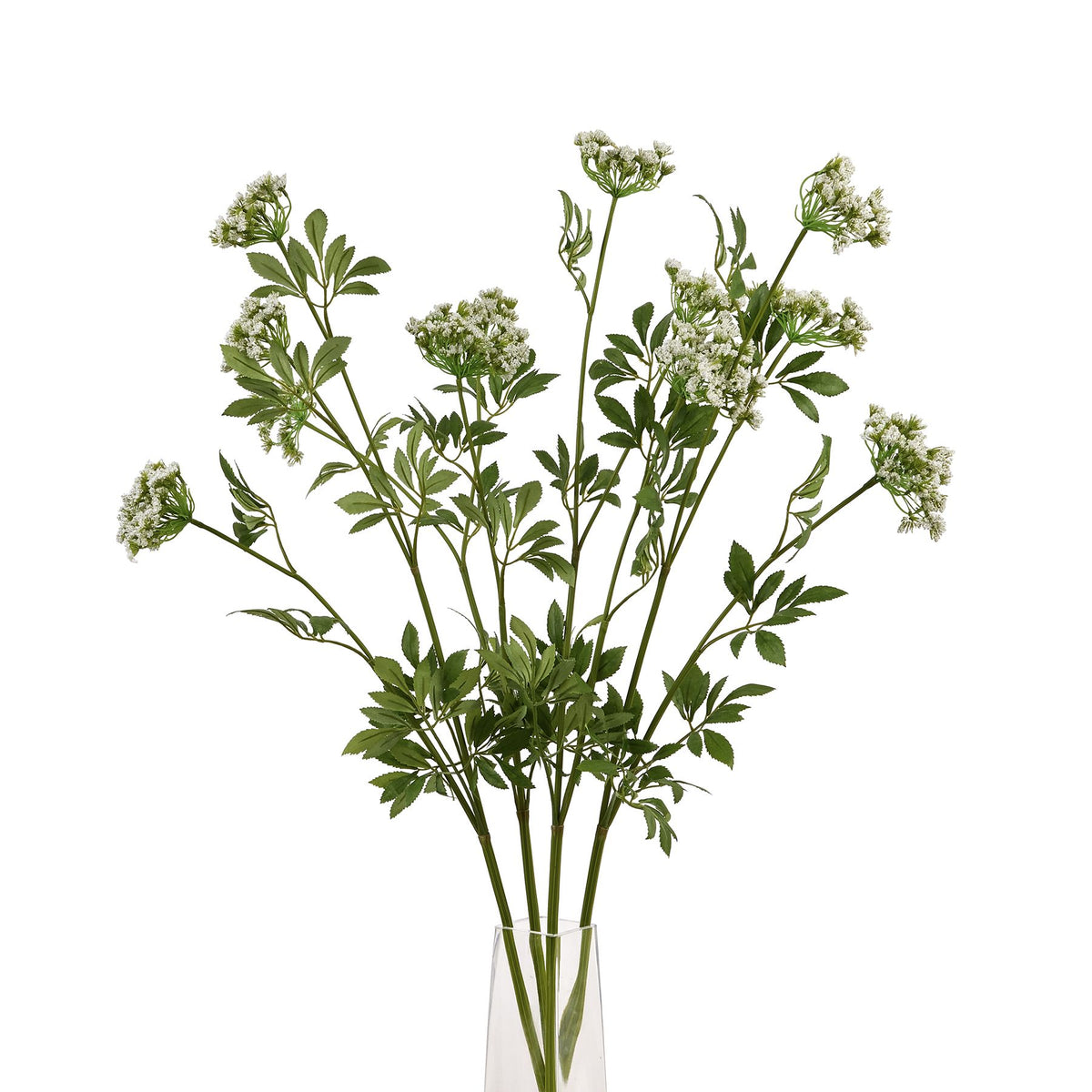 Faux White Cow Parsley Ammi by Hill Interiors - image 5