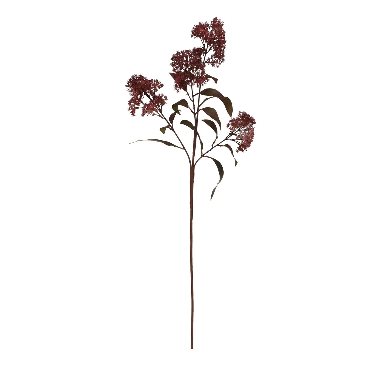Medium Burgundy Smokebush Stem by Hill Interiors - image 3