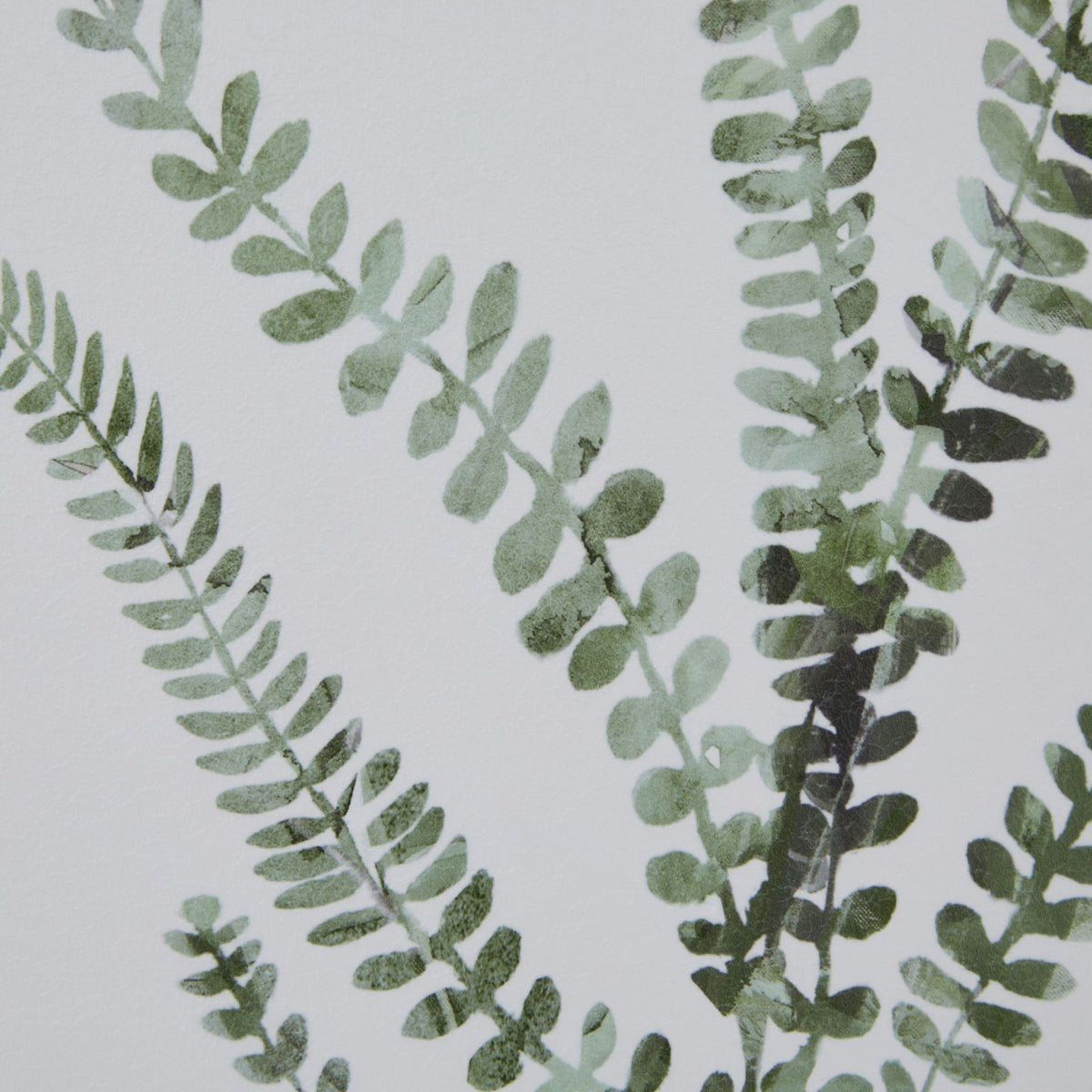 Watercolour Delicate Fern In Washed Wood Frame by Hill Interiors - image 3