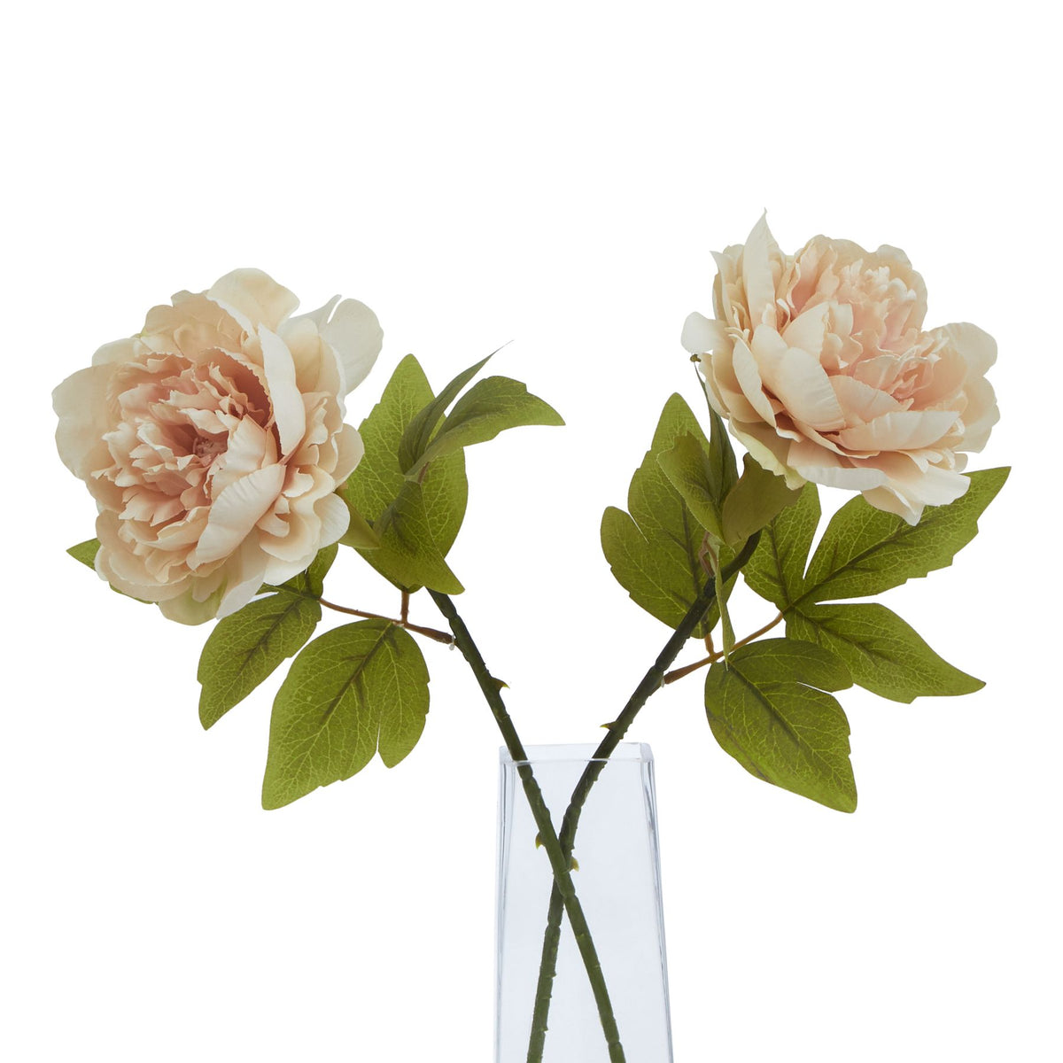 The Natural Garden Collection Blush Peony by Hill Interiors - image 3