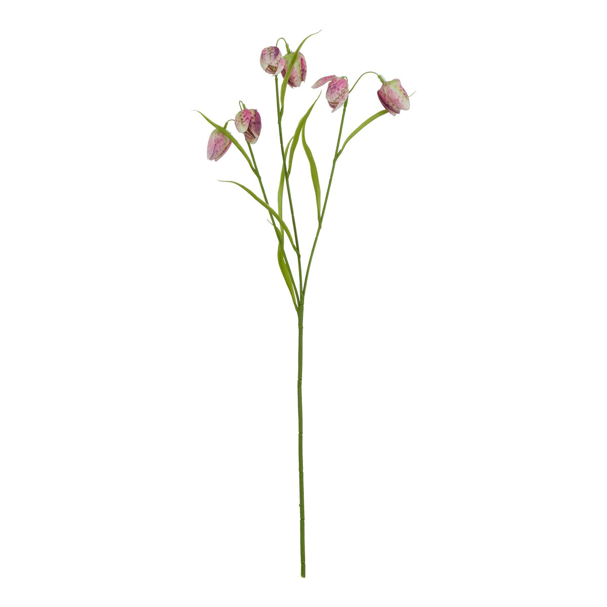 The Natural Garden Collection Purple Fritillaria Stem by Hill Interiors