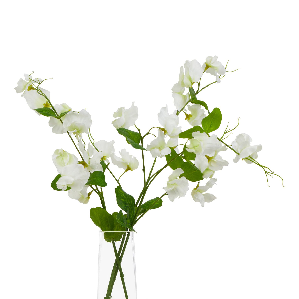The Natural Garden Collection White Sweetpea Stem by Hill Interiors - image 3