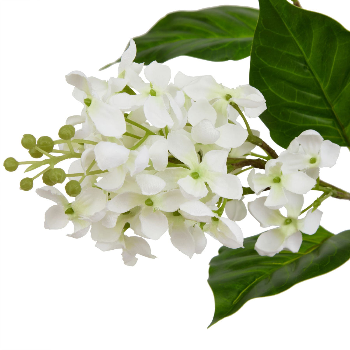 The Natural Garden Collection White Lilac Stem by Hill Interiors - image 2