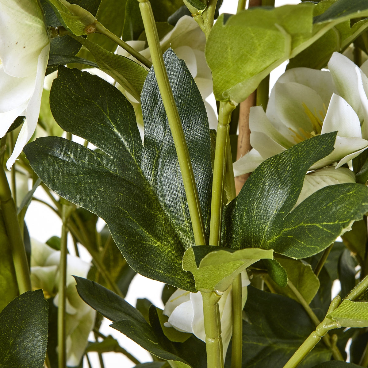 Large White Hellebore In Grey Pot by Hill Interiors - image 3
