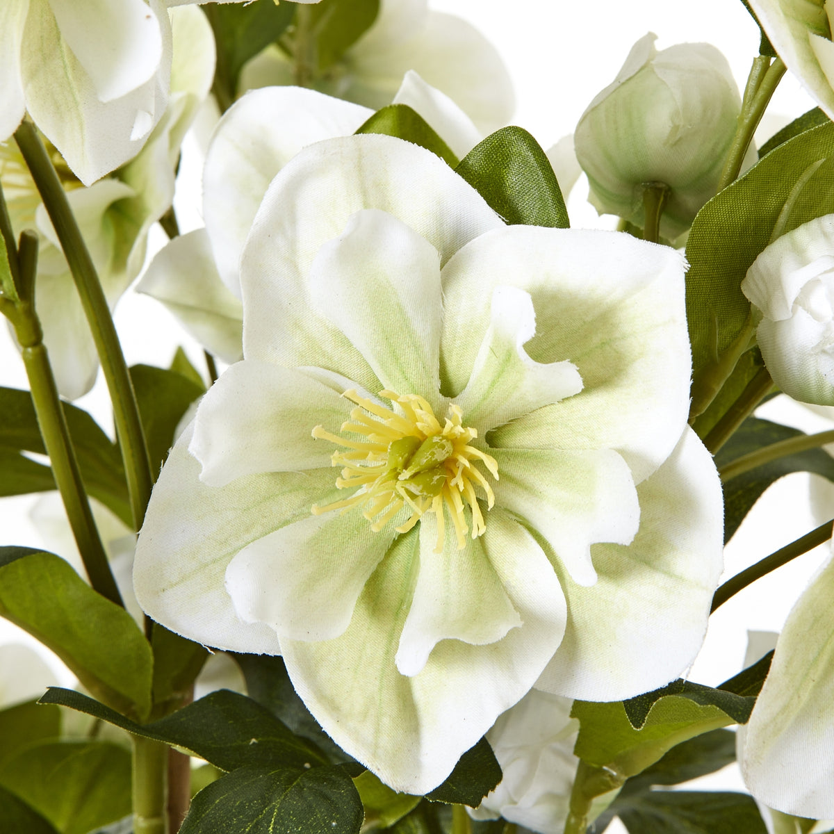 Large White Hellebore In Grey Pot by Hill Interiors - image 5