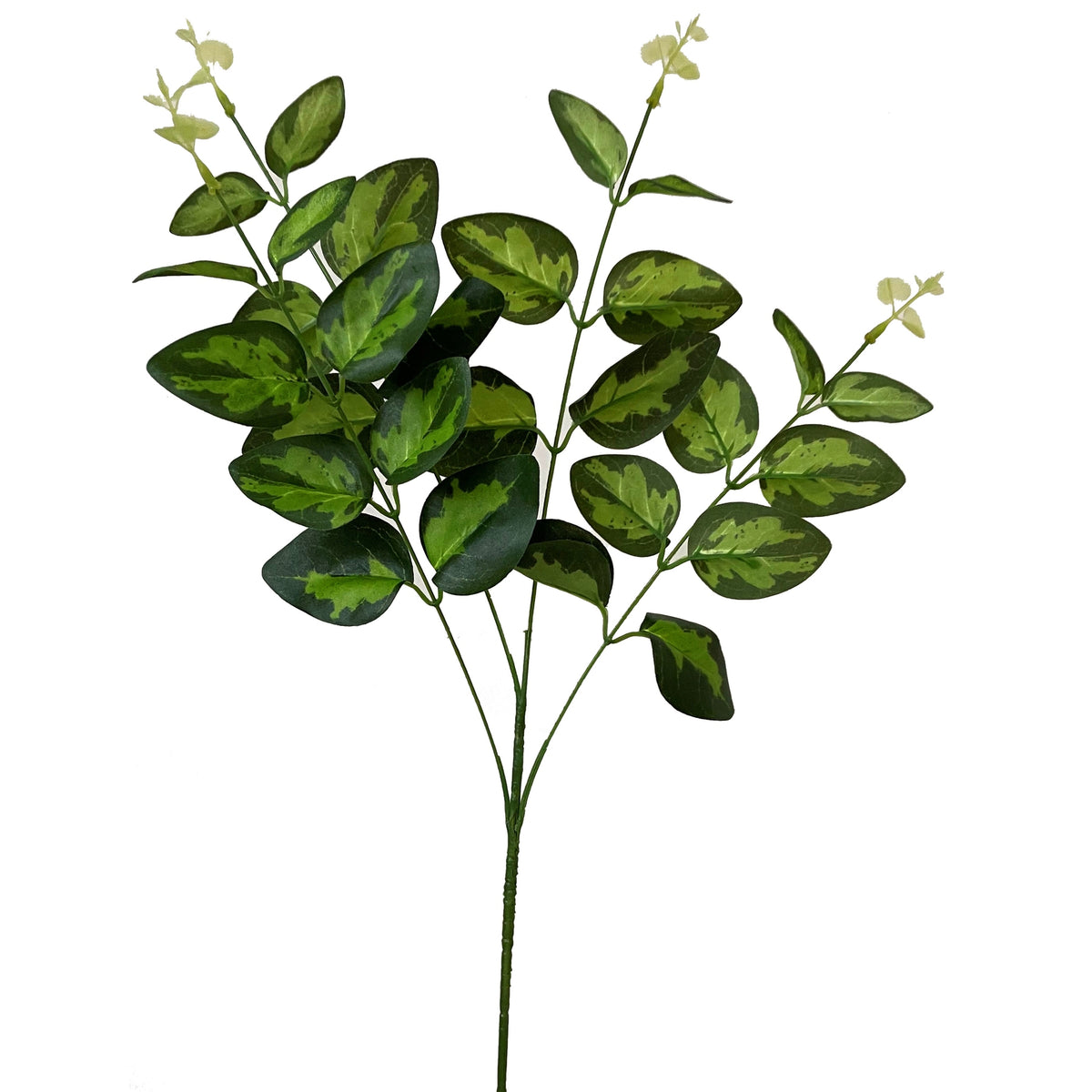 Variegated Leaf Spray by Hill Interiors