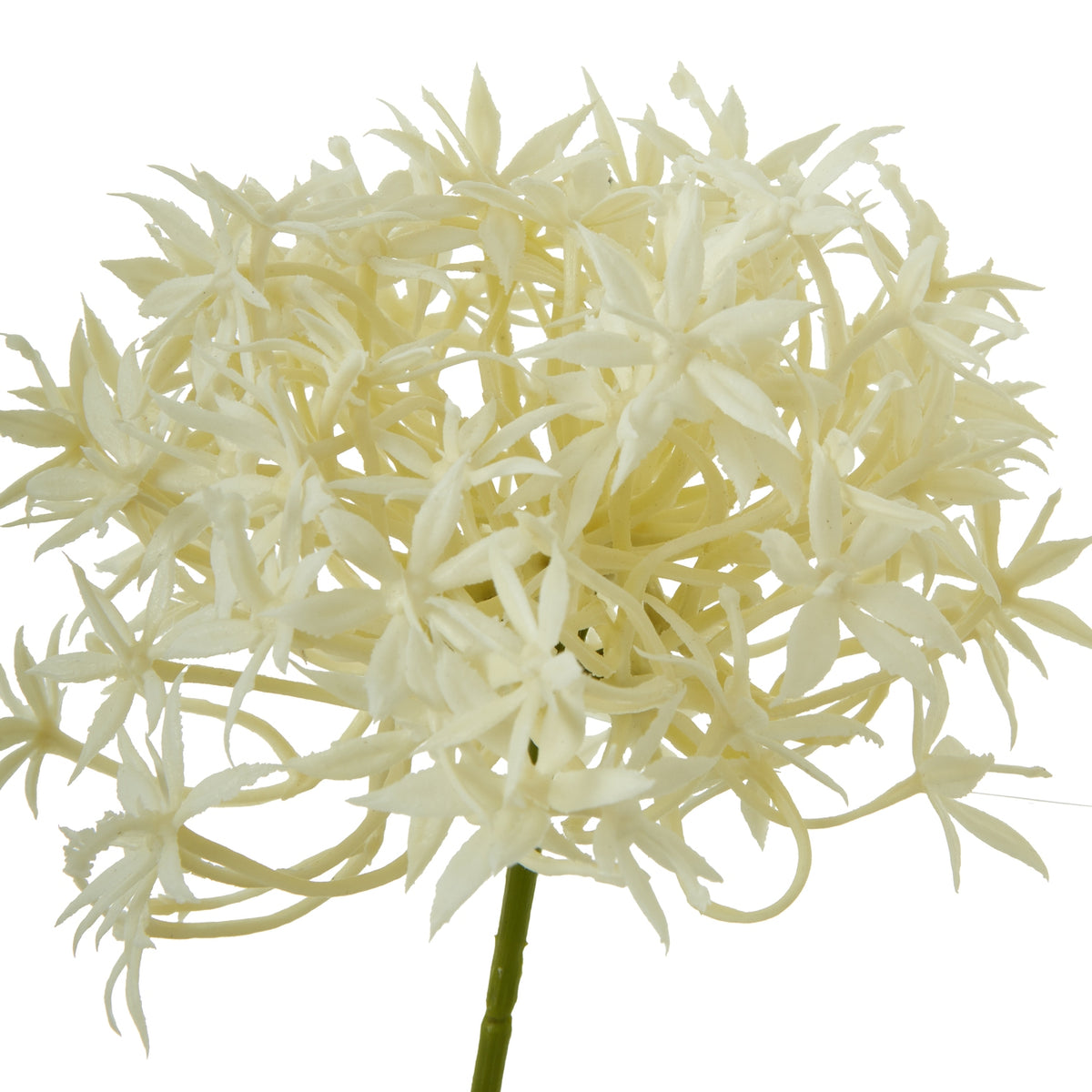 Three Head Cream Allium Spray by Hill Interiors - image 2