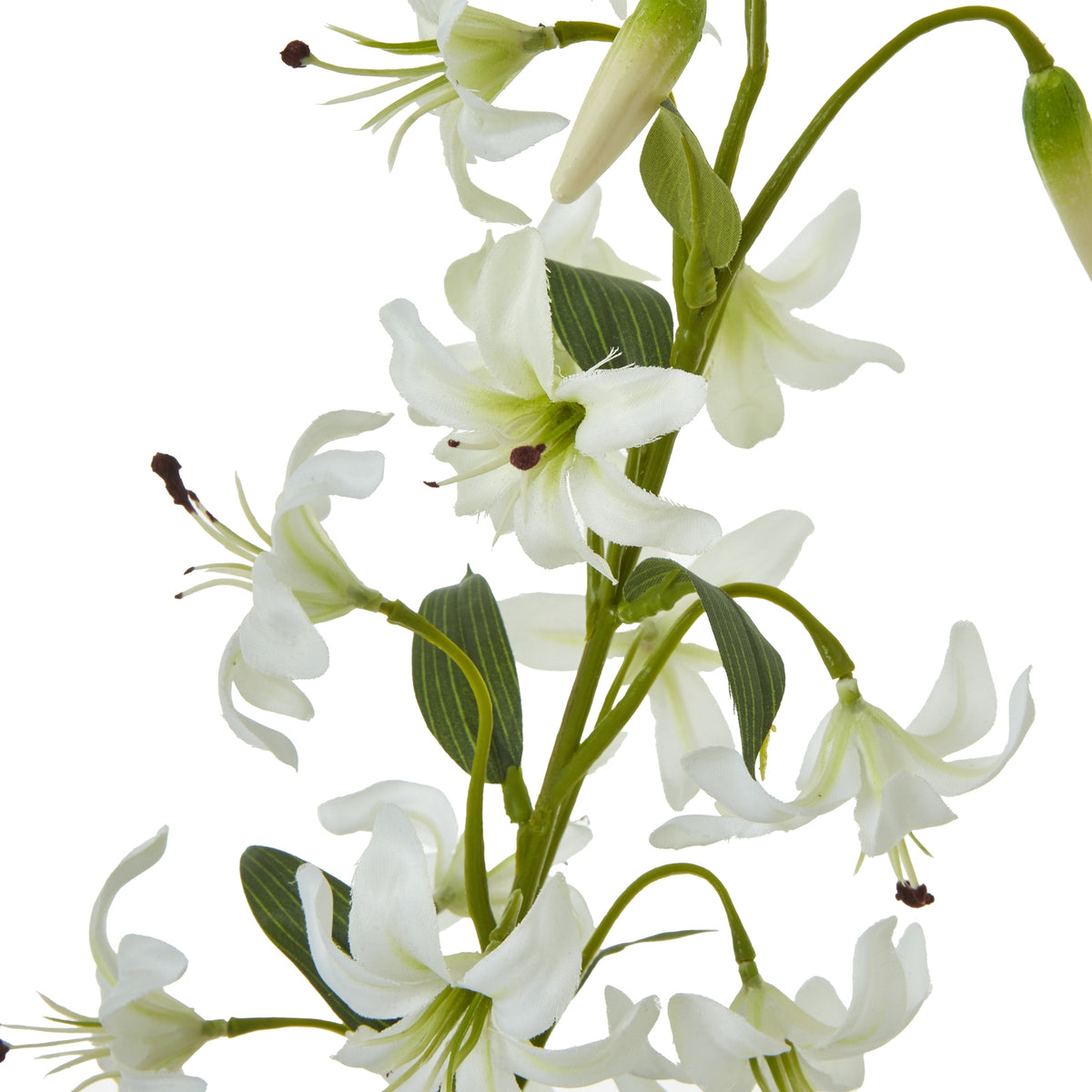 Turks Cap Green Lily Spray by Hill Interiors - image 4