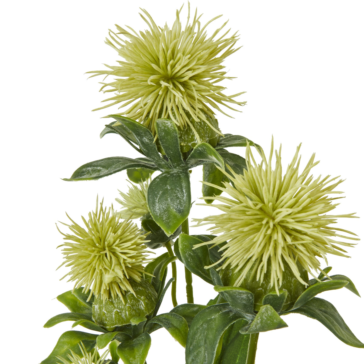 Green Safflower Spray by Hill Interiors - image 2