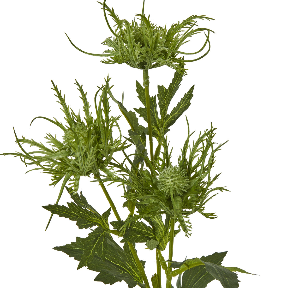 Green Sea Holly Spray by Hill Interiors - image 2