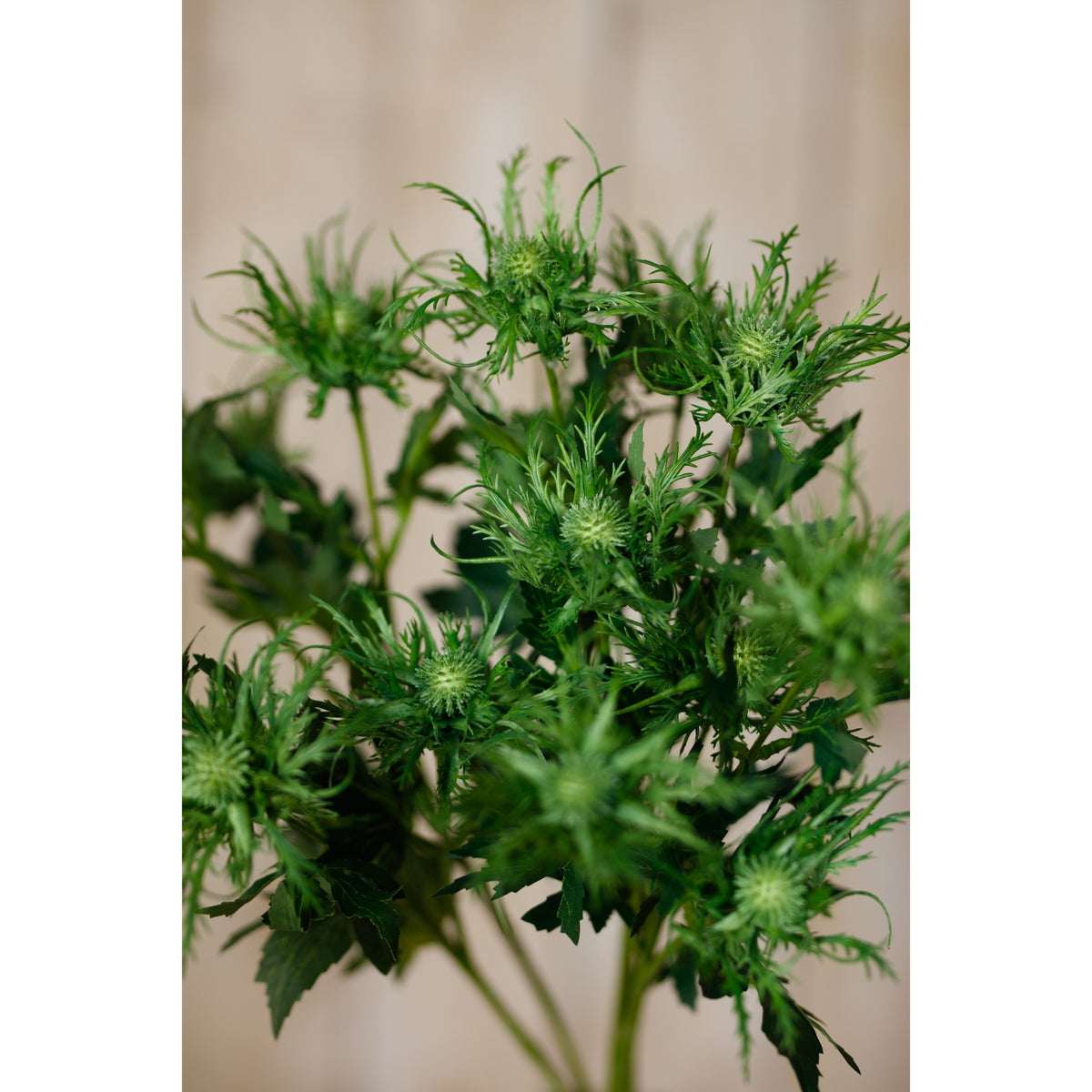 Green Sea Holly Spray by Hill Interiors - image 5