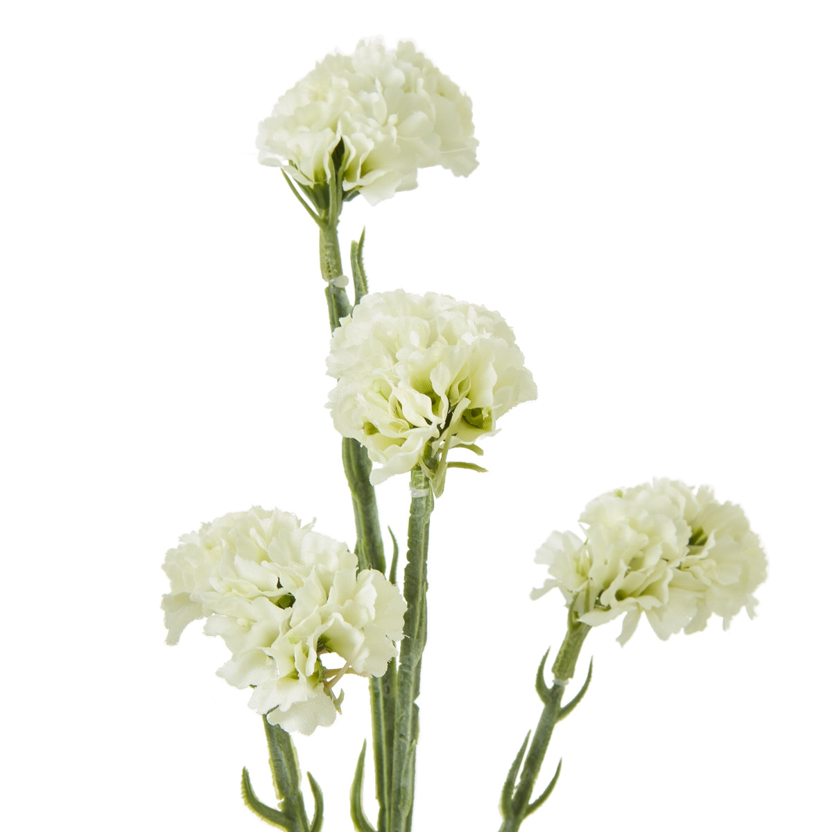 Cream Statice Spray by Hill Interiors - image 2