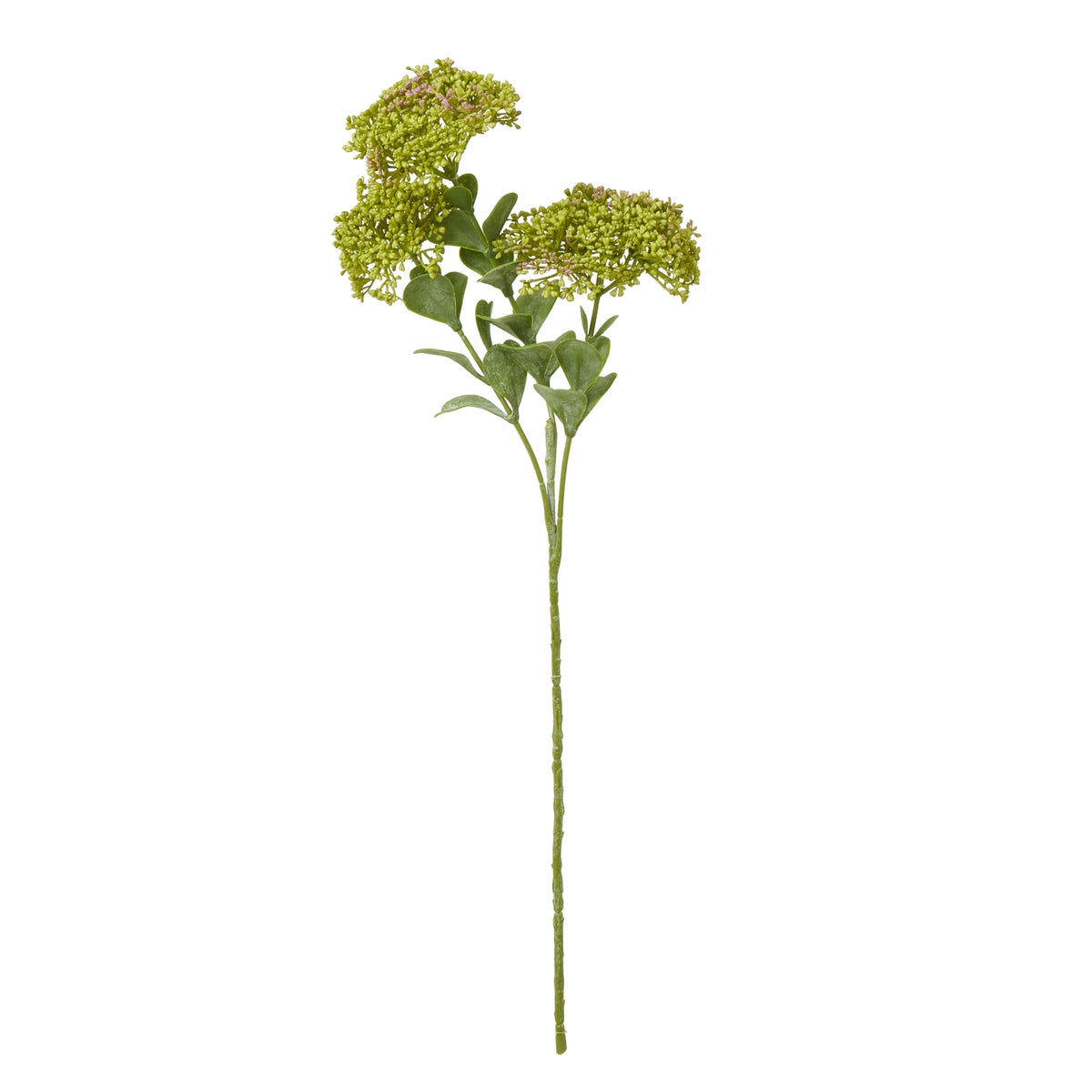 Green Sedum Spray by Hill Interiors