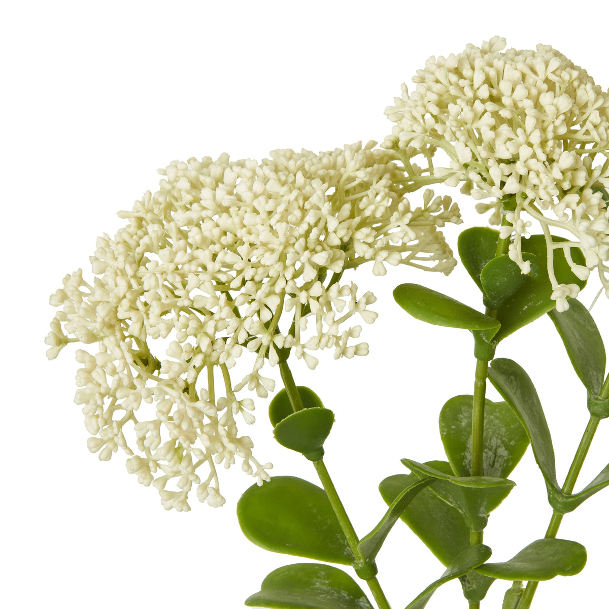Cream Sedum Spray by Hill Interiors - image 2
