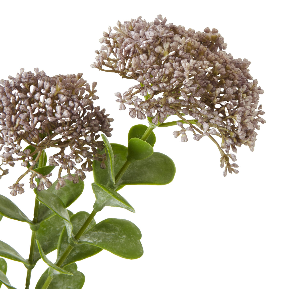 Purple Sedum Spray by Hill Interiors - image 2
