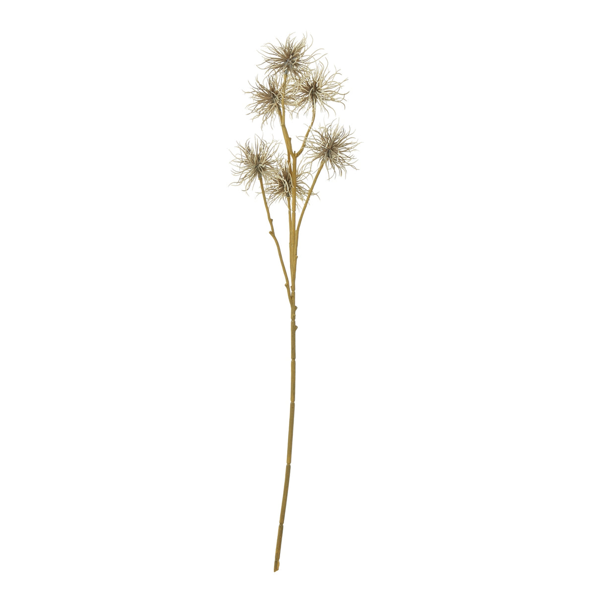 Brown Xanthium Spray by Hill Interiors