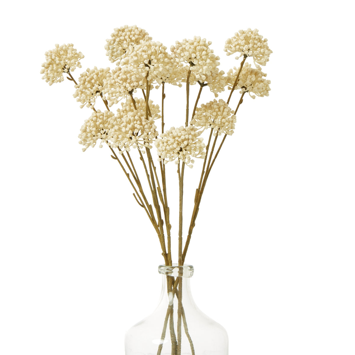 Cream Allium Spray by Hill Interiors - image 3