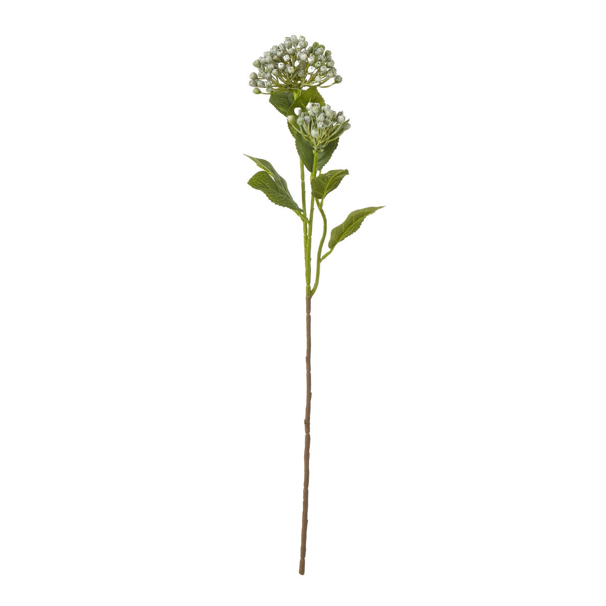 Blue Budding Hydrangea Spray by Hill Interiors