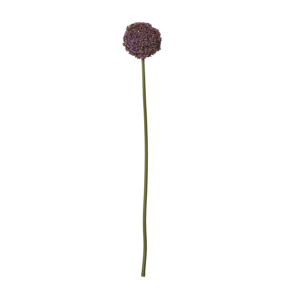 Purple Allium Stem by Hill Interiors