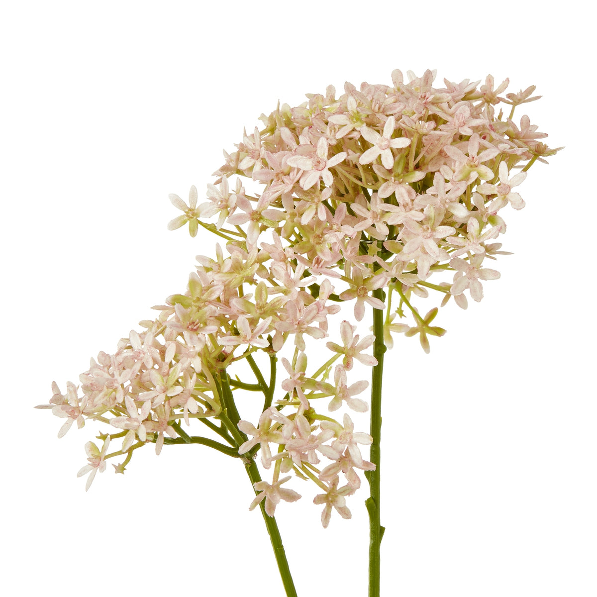 Pink Crown Hydrangea Stem by Hill Interiors - image 2