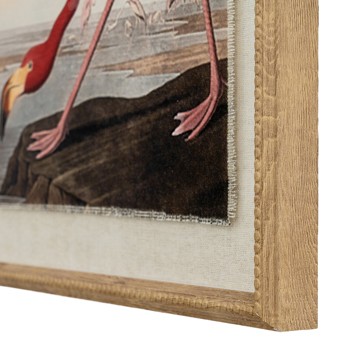Flora & Fauna Collection Flamingo On Linen In Beaded Frame by Hill Interiors - image 2