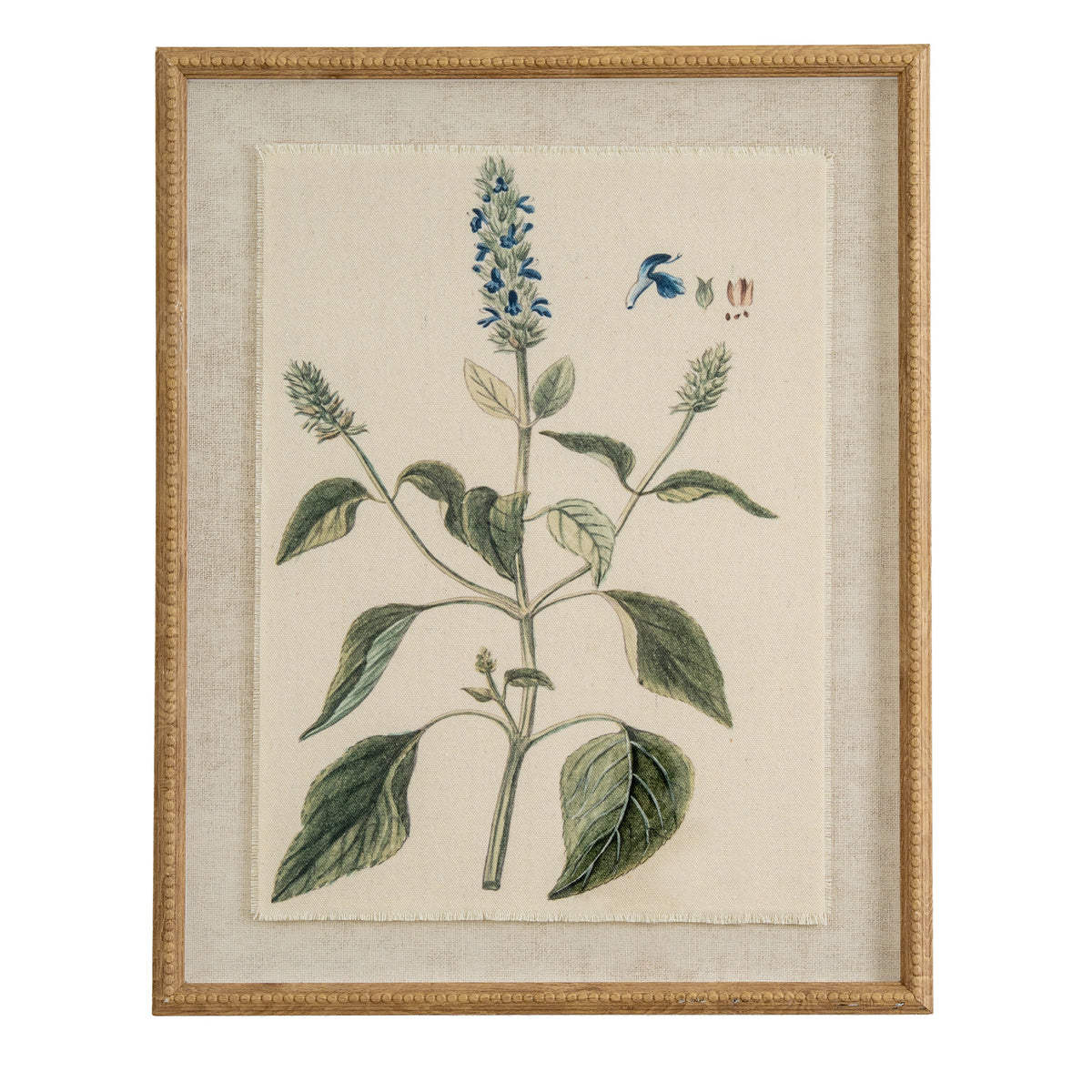 Flora & Fauna Collection Salvia On Linen In Beaded Frame by Hill Interiors