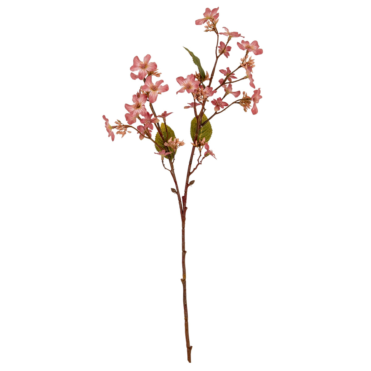 Pink Vernicia Fordii Spray by Hill Interiors - image 2