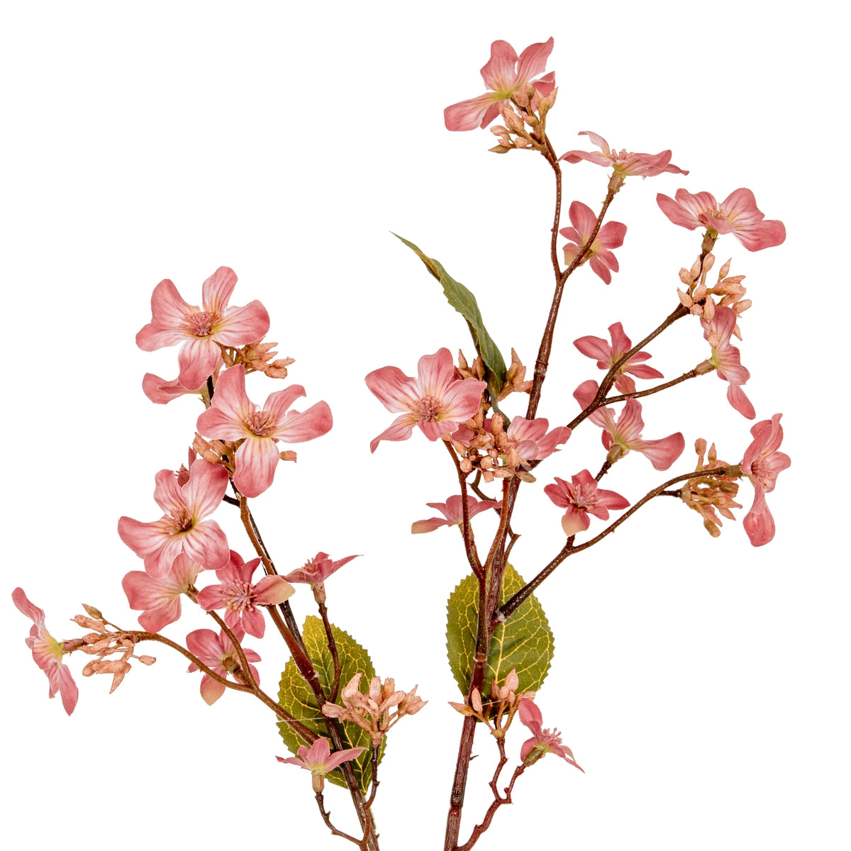 Pink Vernicia Fordii Spray by Hill Interiors