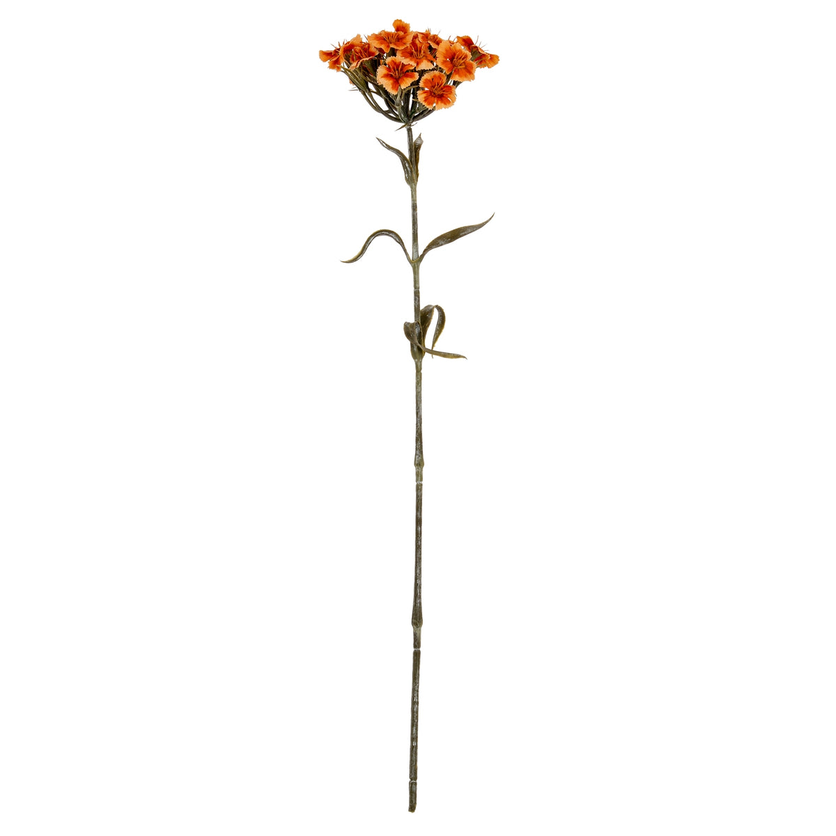 Orange Dianthus Spray by Hill Interiors - image 2