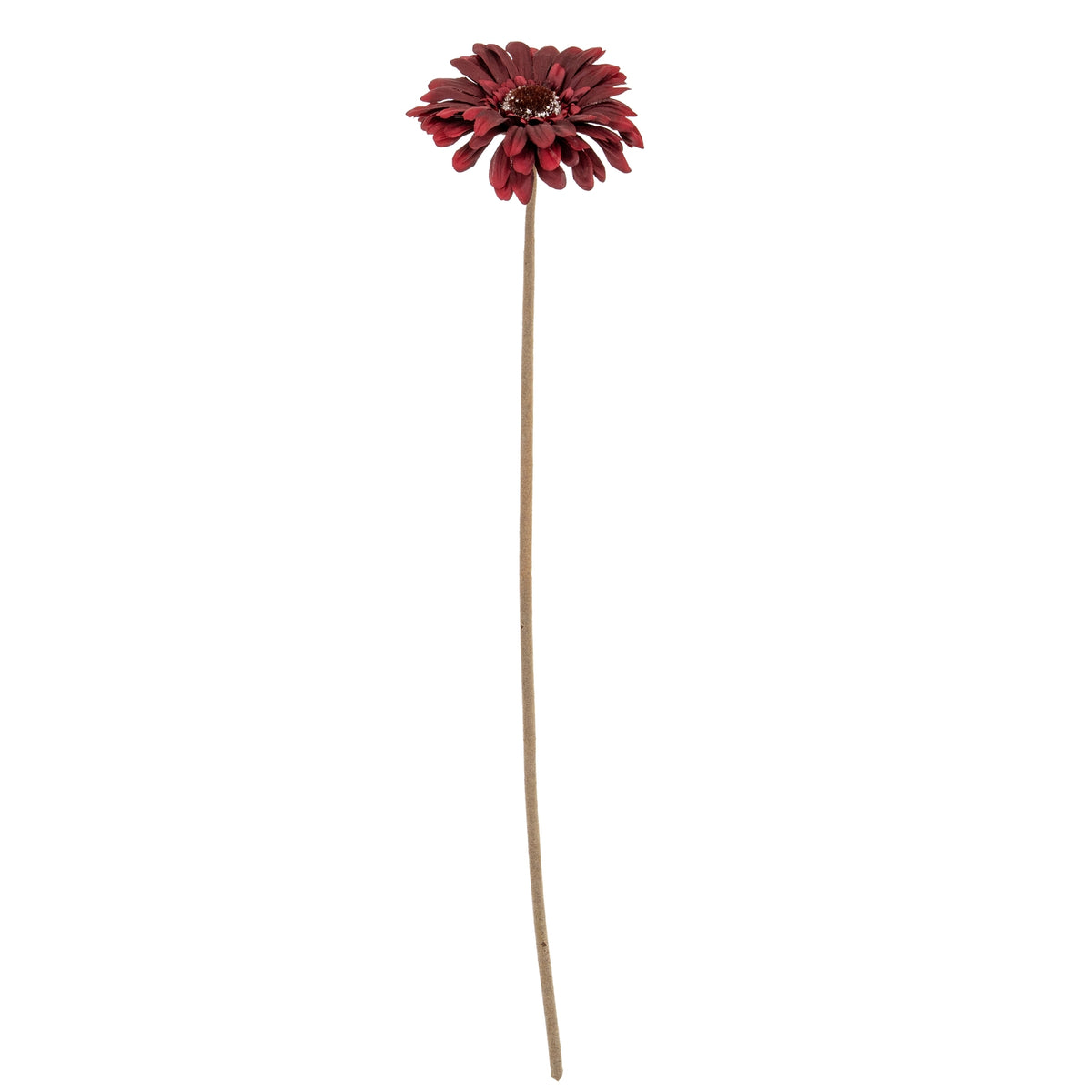 Burgundy Gerbera Stem by Hill Interiors - image 2