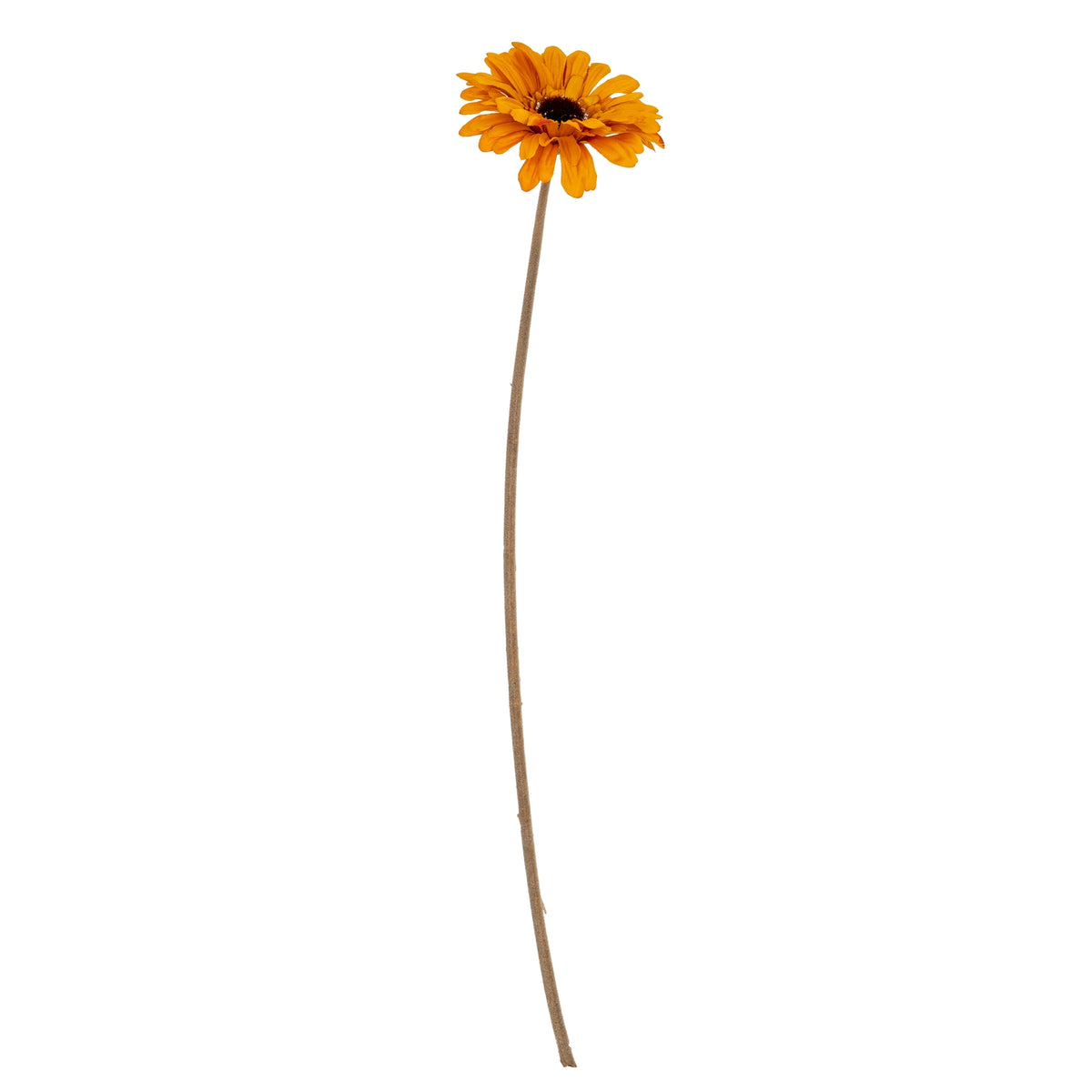 Orange Gerbera Stem by Hill Interiors - image 2