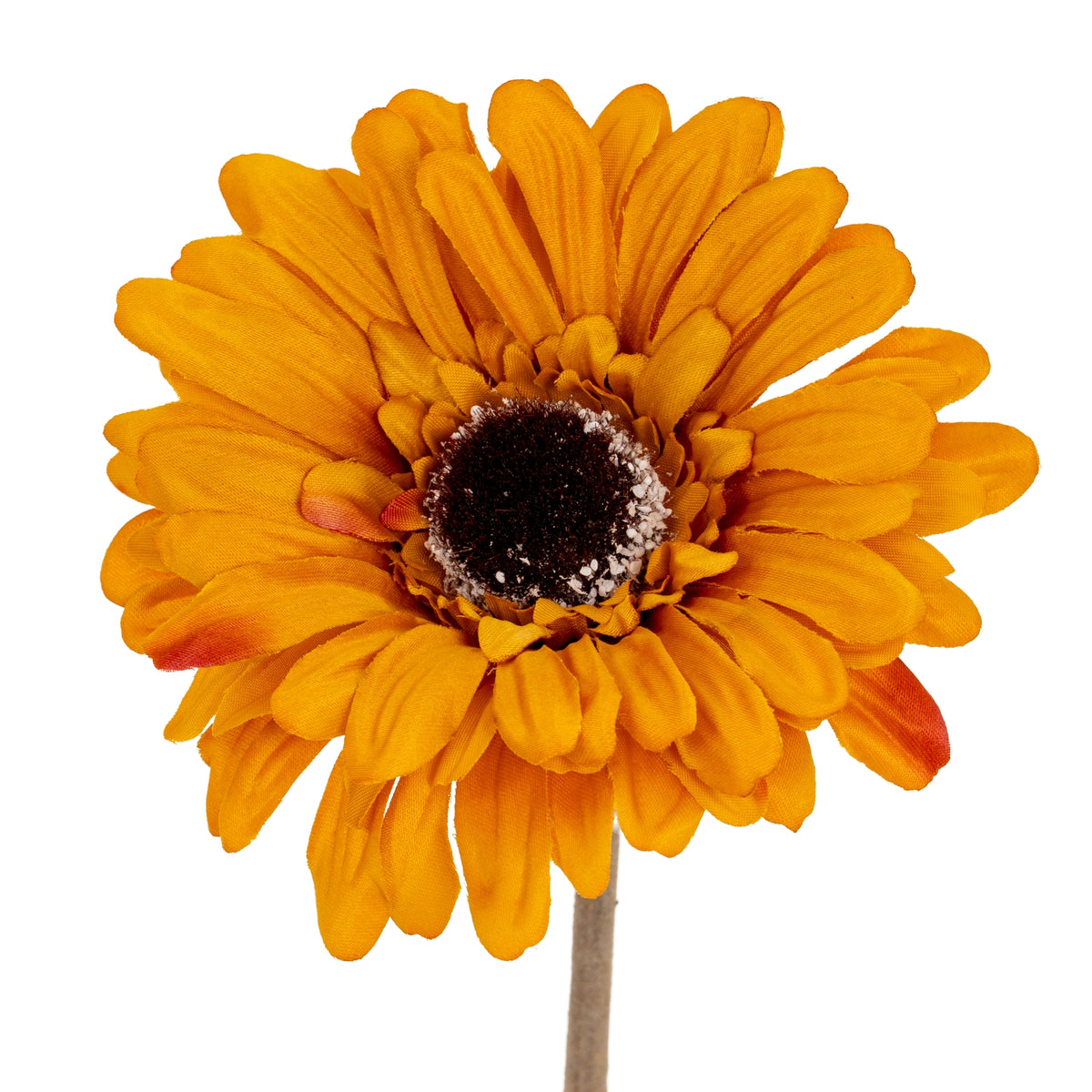 Orange Gerbera Stem by Hill Interiors
