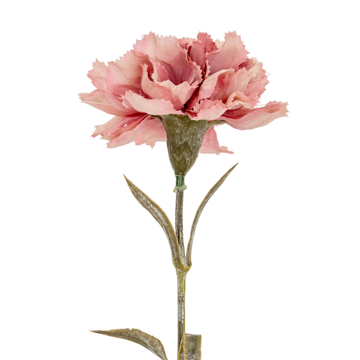 Pink Carnation Stem by Hill Interiors