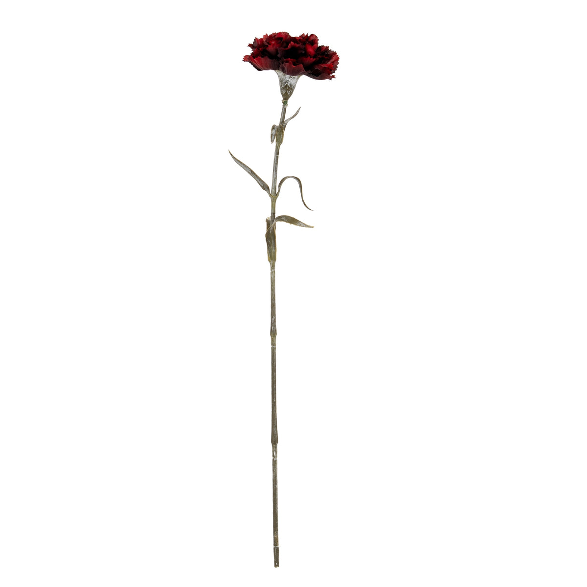 Burgundy Carnation Stem by Hill Interiors - image 2