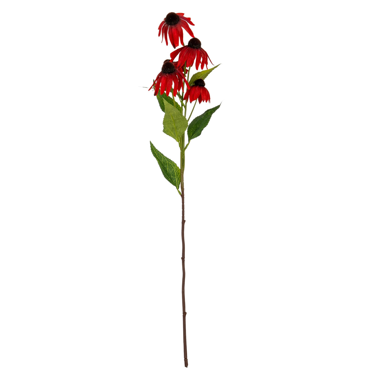 Red Echinacea Spray by Hill Interiors - image 2