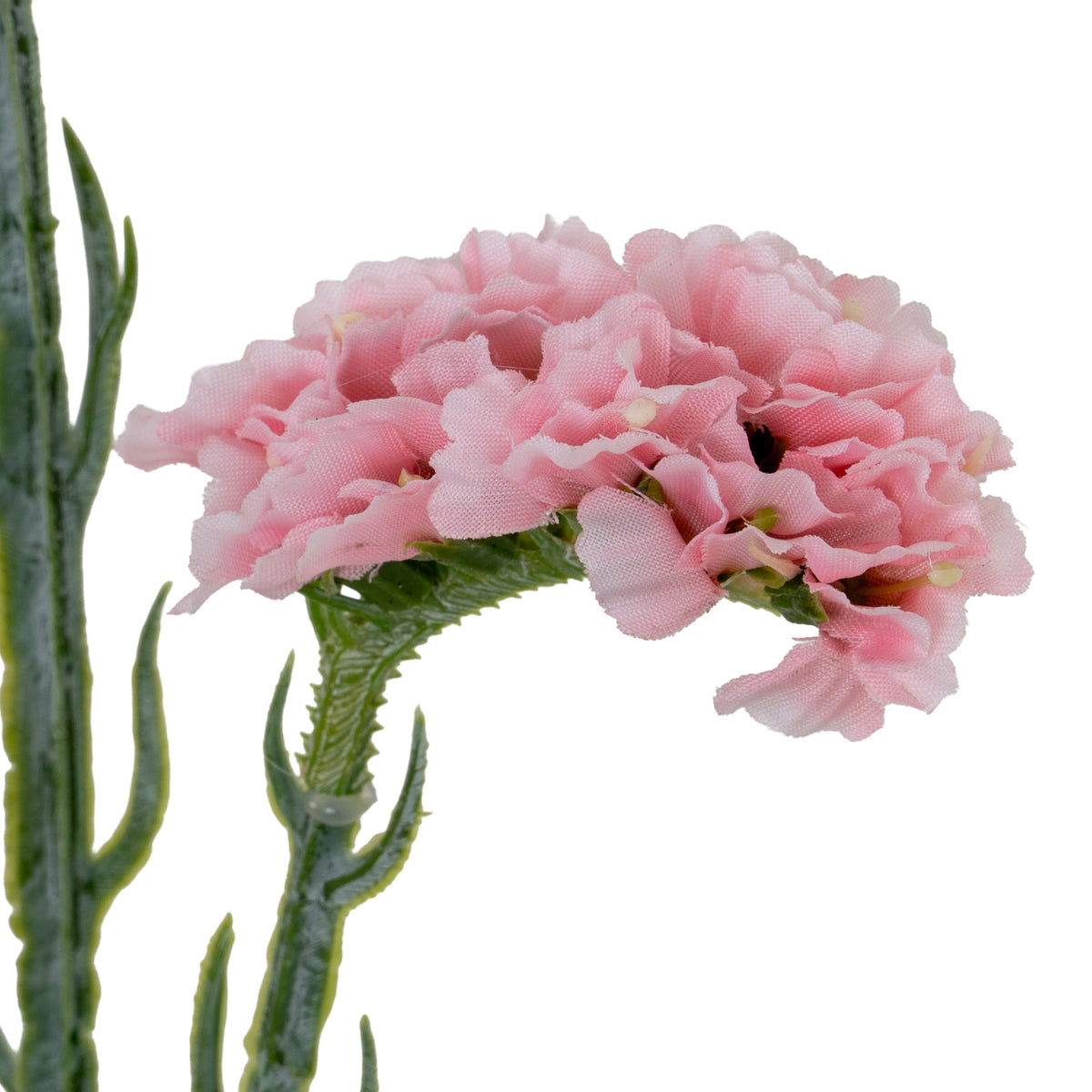 Pink Statis Spray by Hill Interiors - image 3