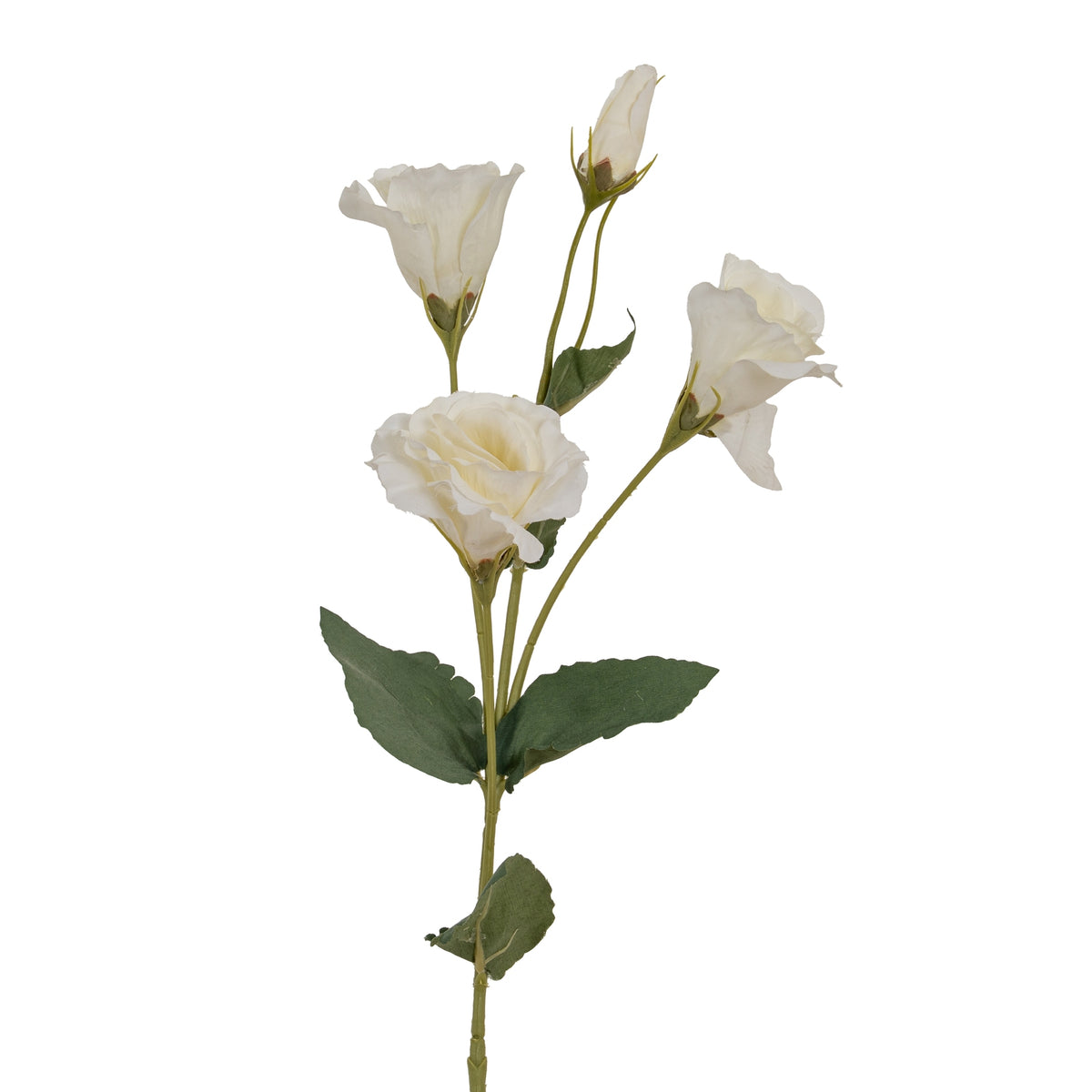 White Lisianthus Spray by Hill Interiors