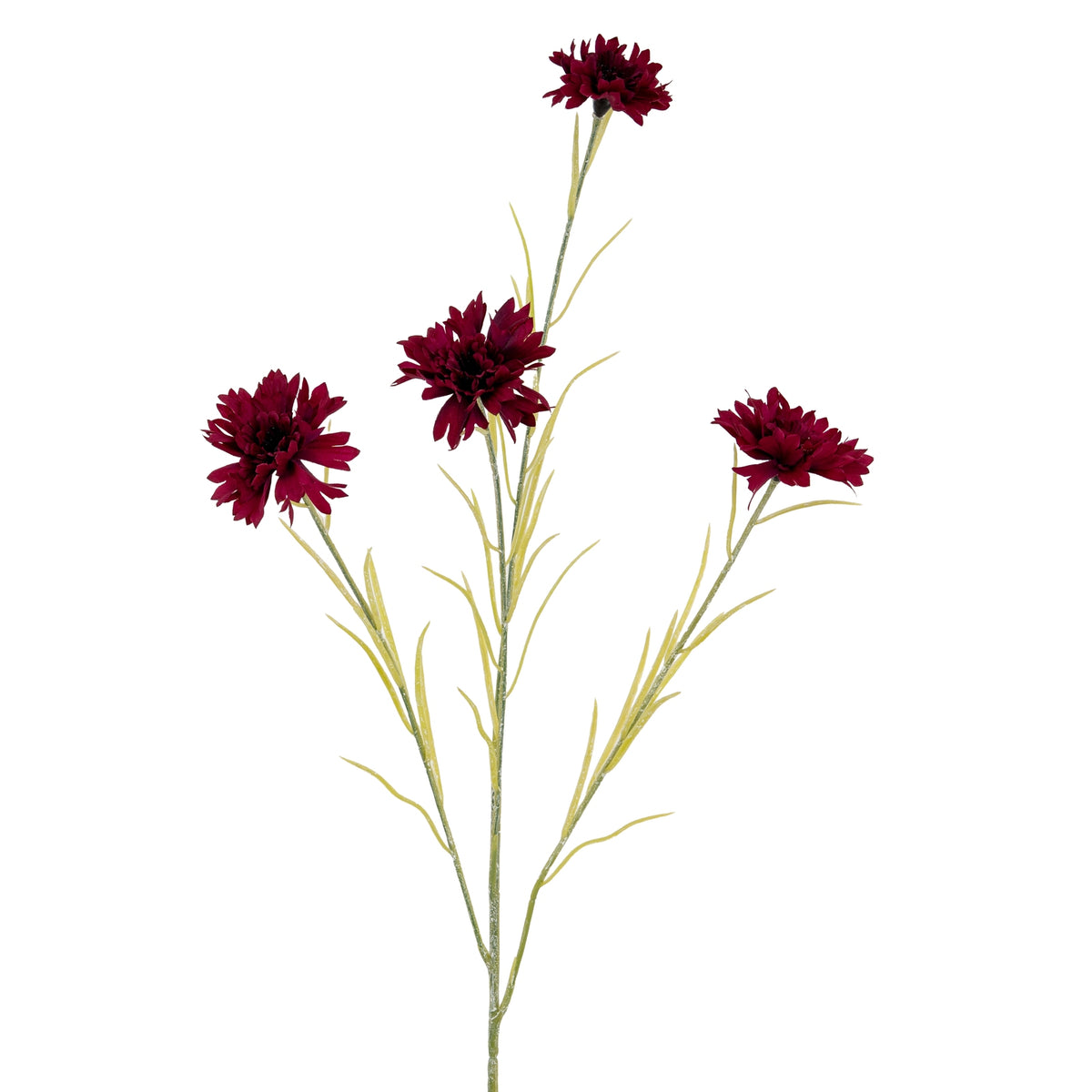 Burgundy Cornflower Stem by Hill Interiors