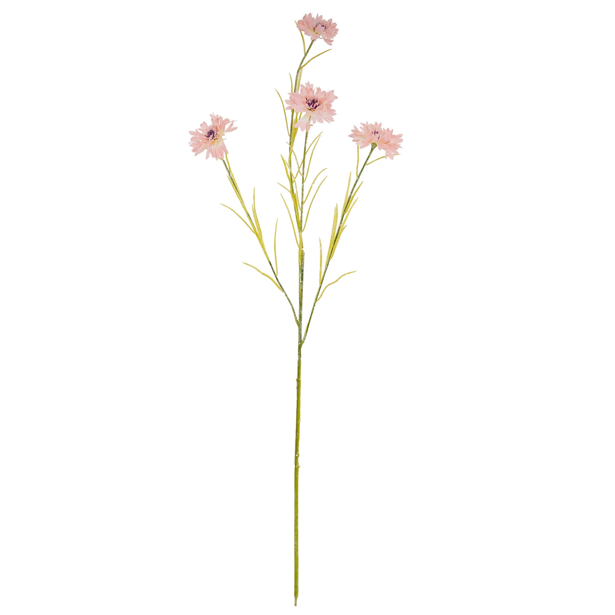 Pink Cornflower Stem by Hill Interiors - image 2