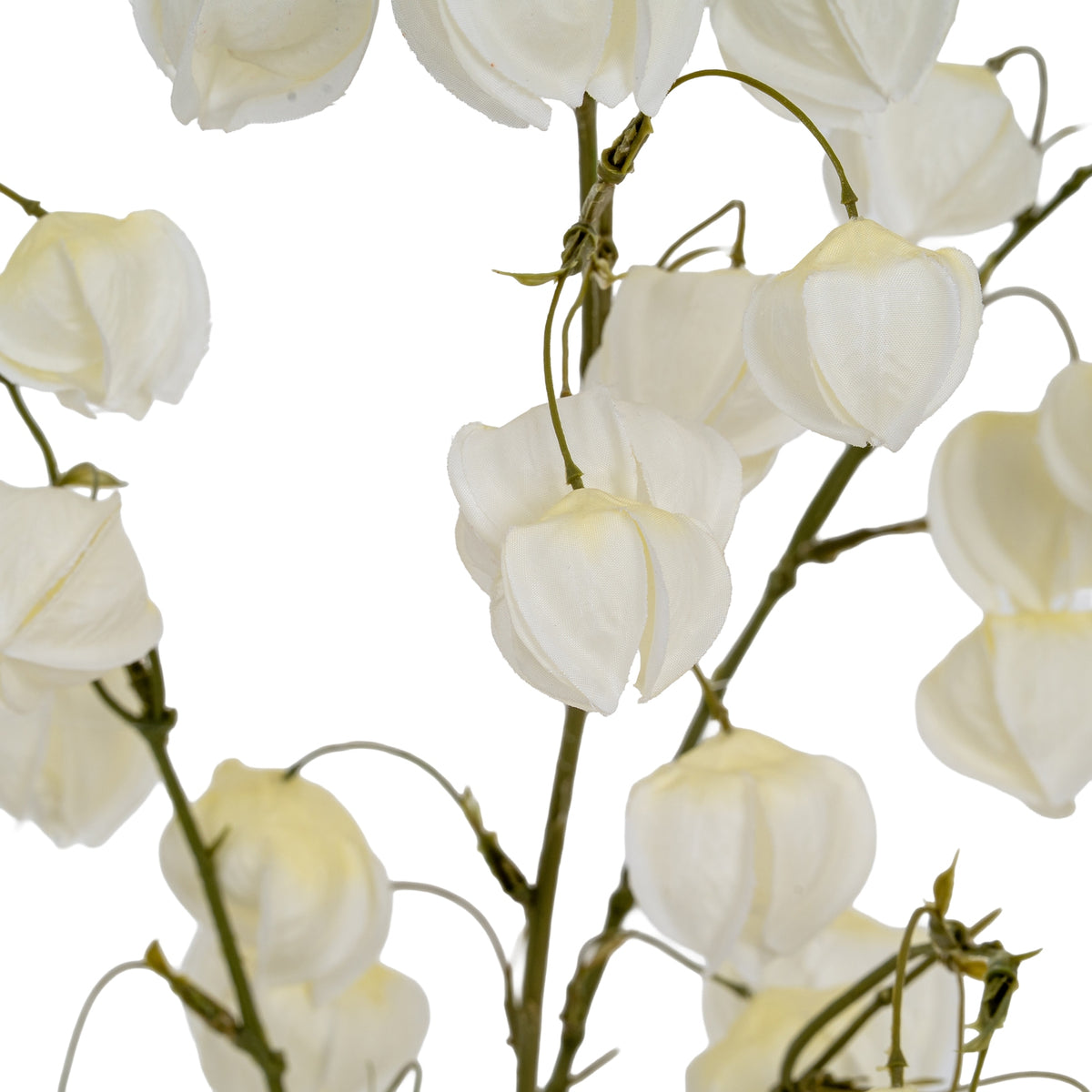 White Physalis Spray by SEDERVA - image 3