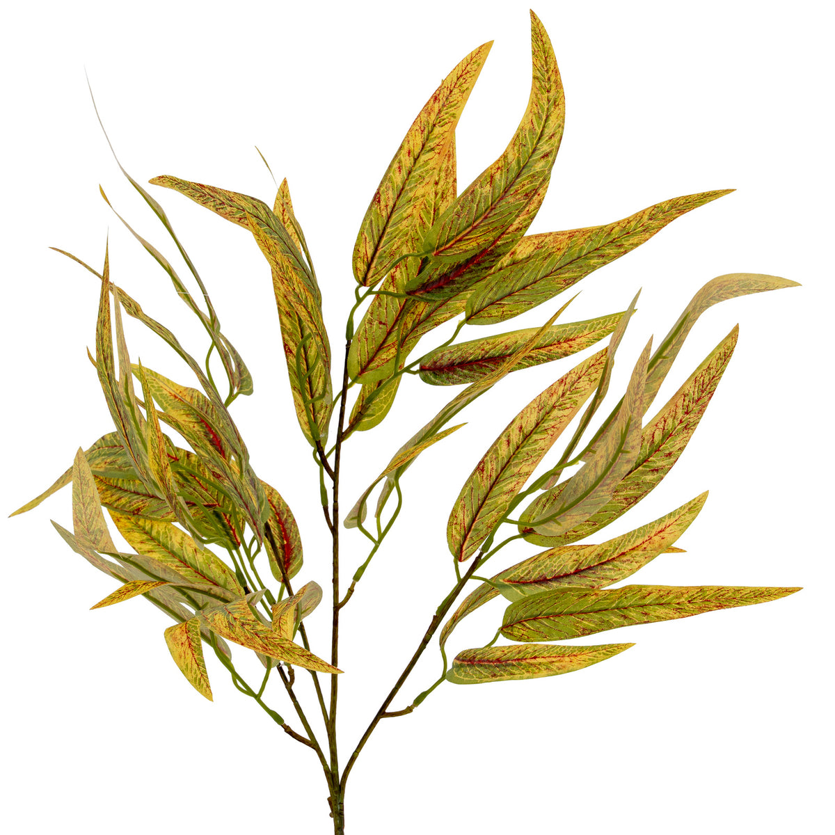 Variegated Long Leaf Eucalyptus Spray by Hill Interiors - image 2