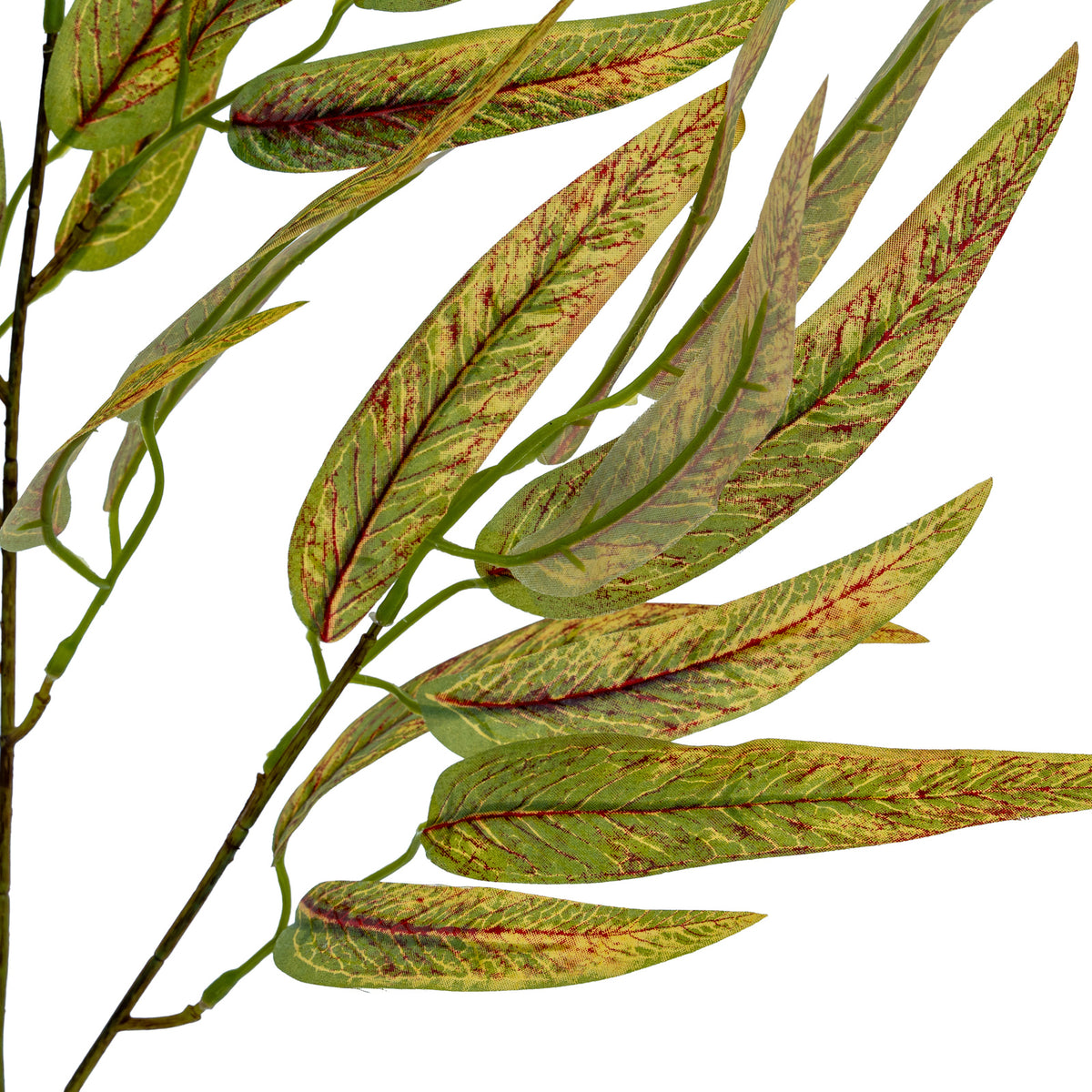 Variegated Long Leaf Eucalyptus Spray by Hill Interiors - image 4