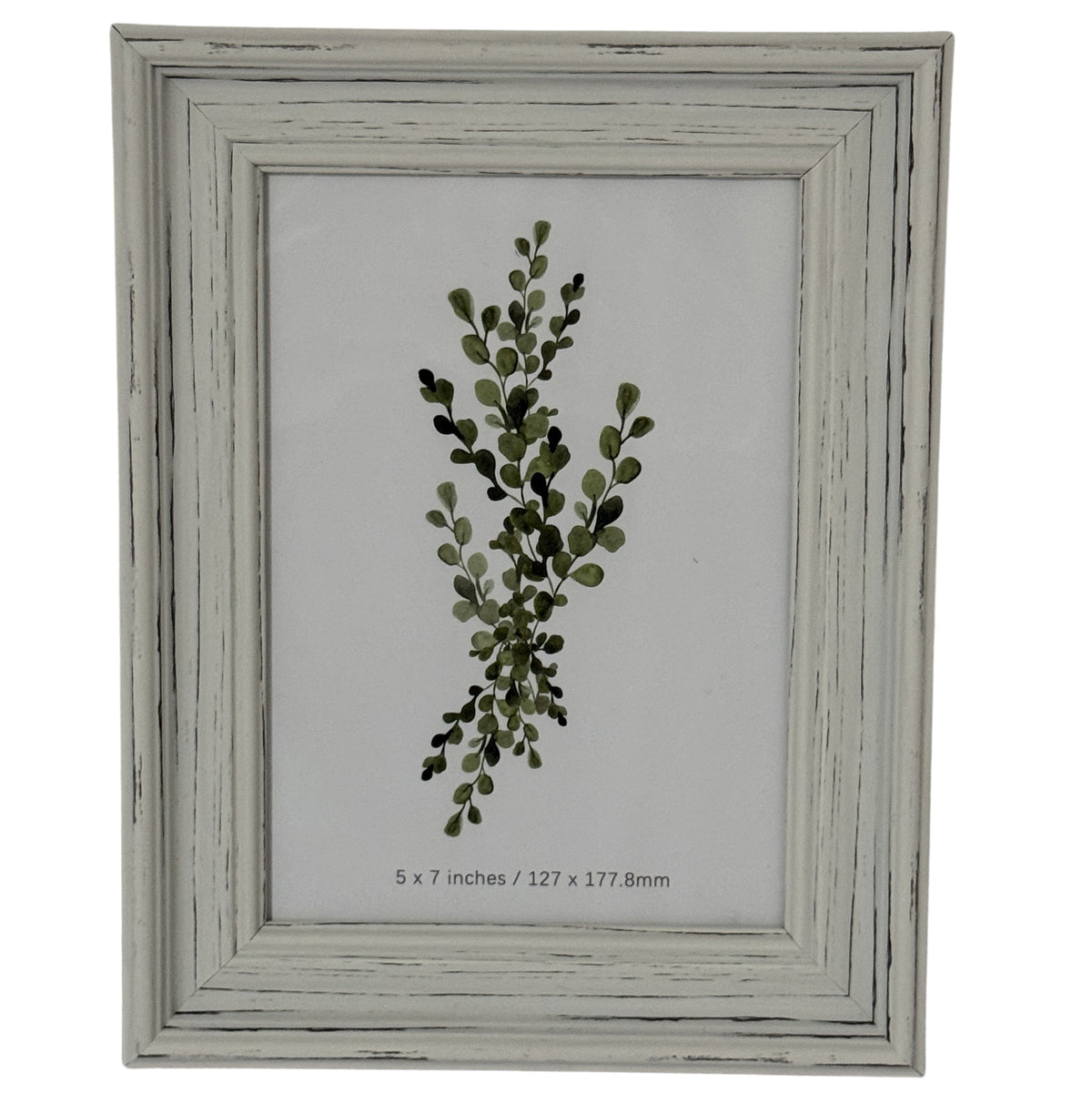 Alba Photo Frame 5X7 by Hill Interiors - image 2