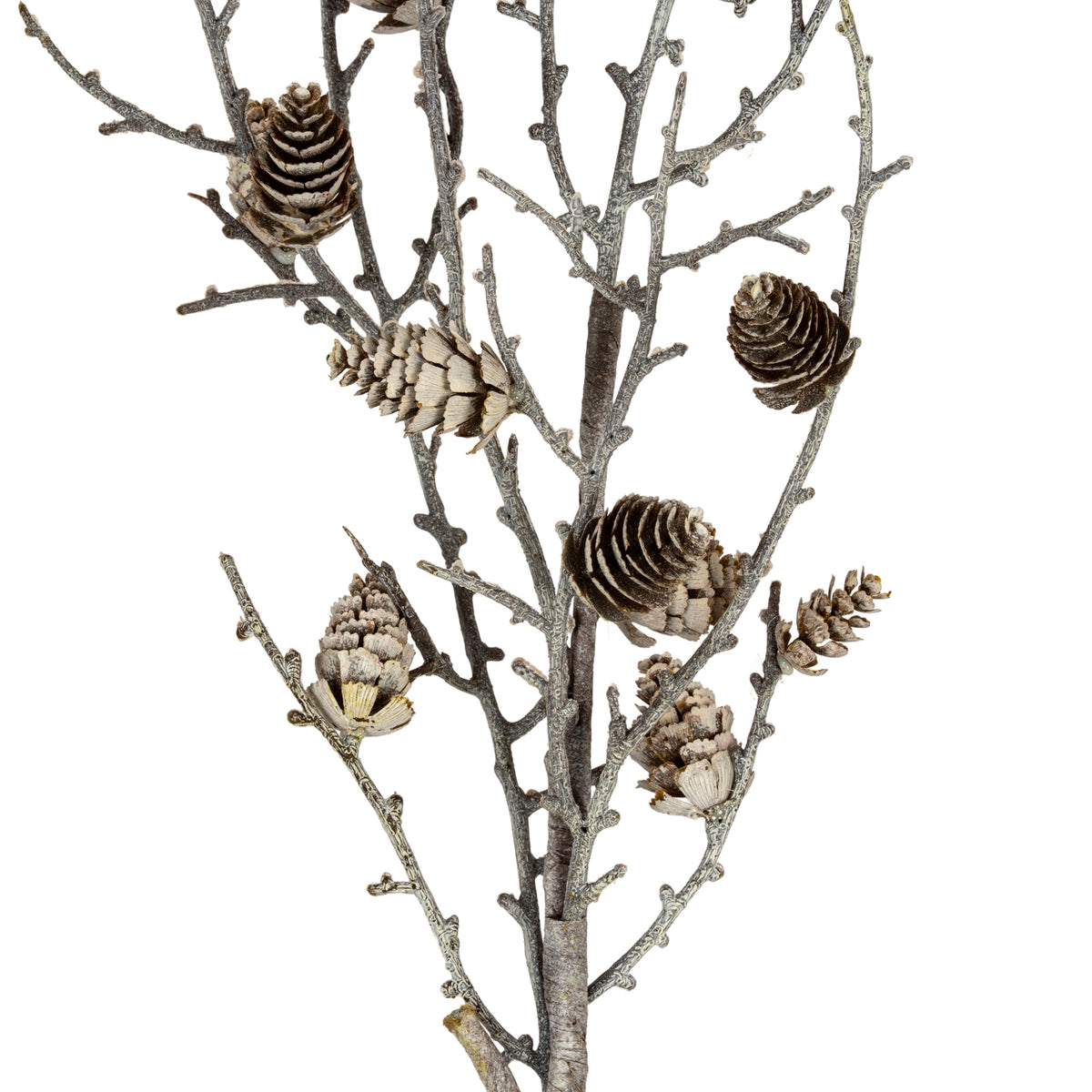 Snowy Winter Woodland Branch With Pinecones by Hill Interiors - image 2