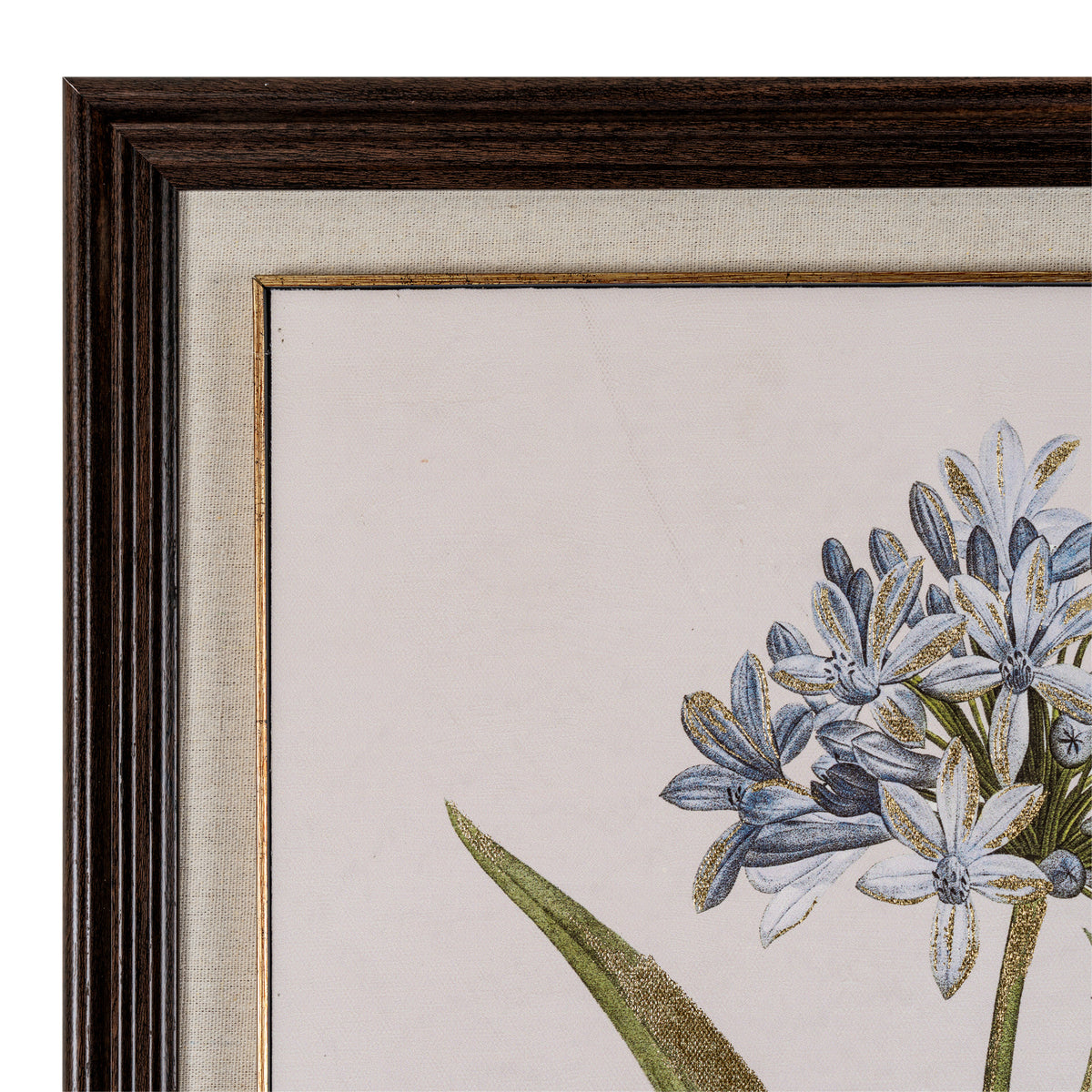 Flora & Fauna Collection Blue Wildflower in Frame by SEDERVA - image 2