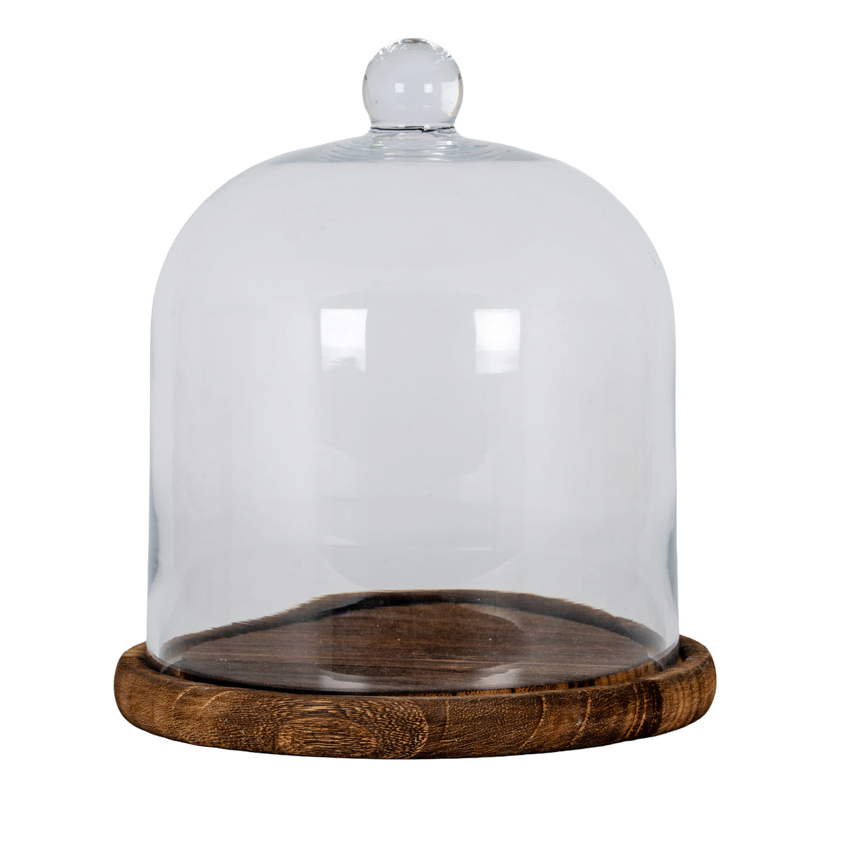 Medium Classic Glass Cloche With Wooden Tray by Hill Interiors