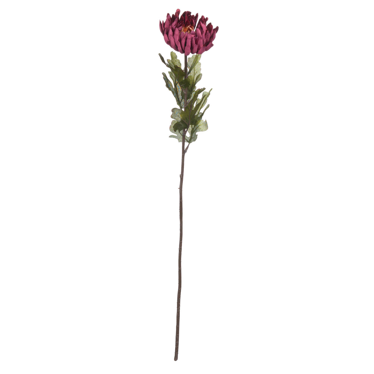 Autumn Spider Chrysanthemum by Hill Interiors - image 5