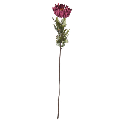 Autumn Spider Chrysanthemum by Hill Interiors - image 5