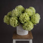Green Peony by Hill Interiors